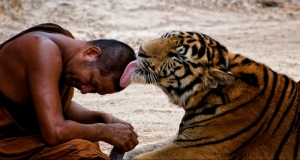 trust-tiger